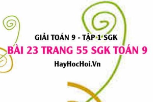 Giải bài 23 trang 55 SGK Toán 9 tập 1